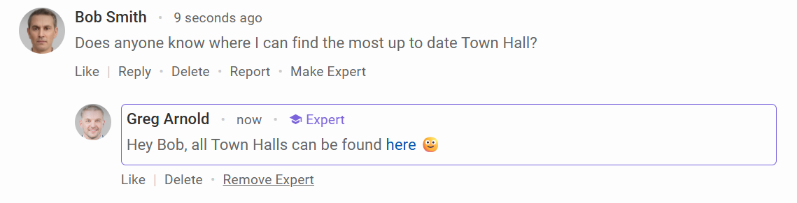 Marking a comment as expert.png